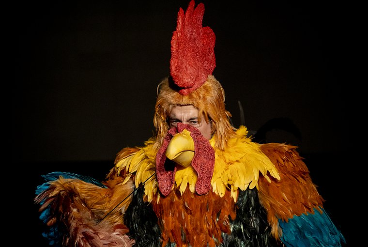 Jorge Andrade in OLD COCK