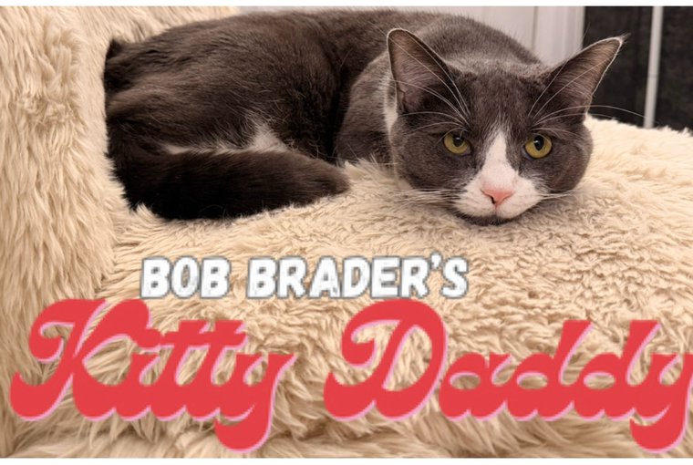 KITTY DADDY