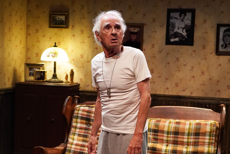 Roger Hendricks Simon in IN THE SHADOW OF HER FATHER